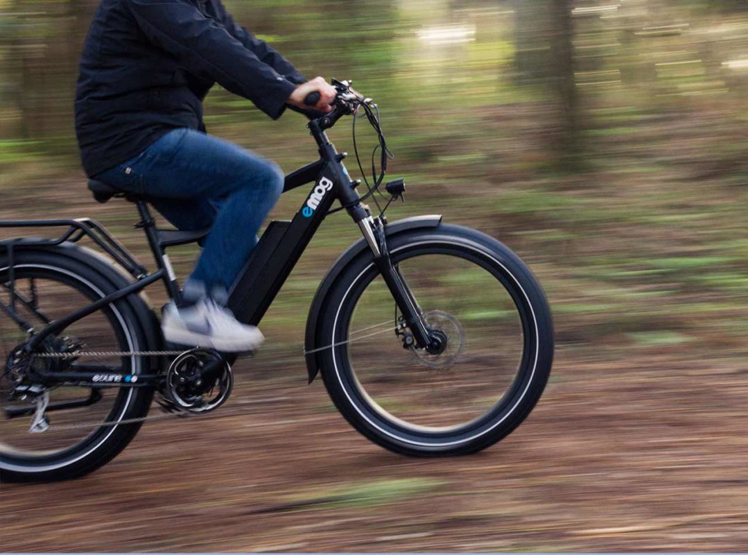 balade en forêt fat bike
